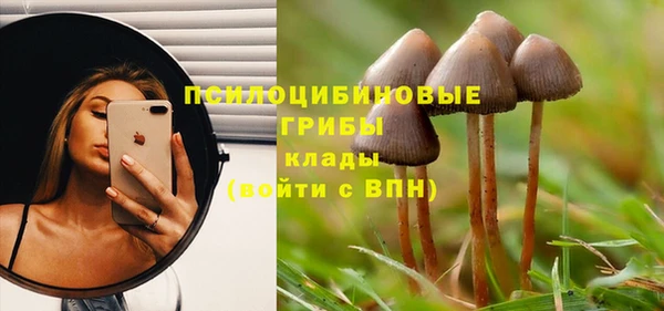 хмурый Абинск