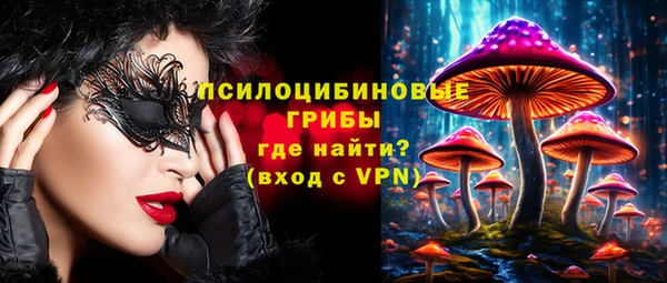 спиды Абаза