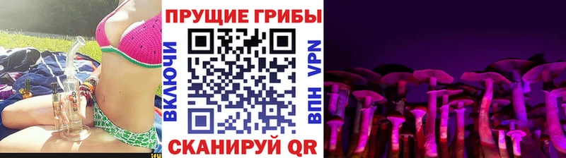 Псилоцибиновые грибы Cubensis  Котовск 
